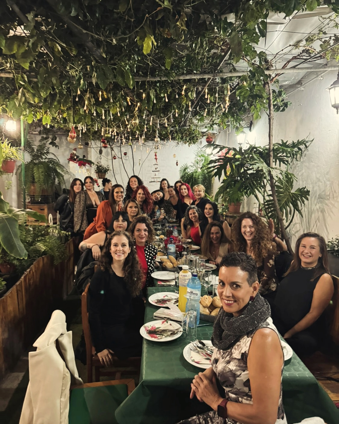 Cena de Navidad de Féminas: una mesa larga llena de mujeres sonriendo